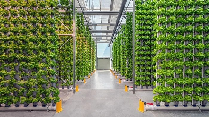 Vertical farming system for limited spaces
